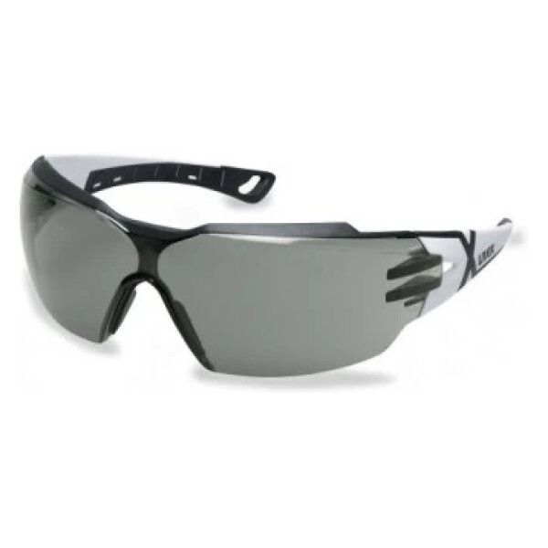 OKULARY UVEX PRZYCIEMNIANE PHEOS CX2 9198.237